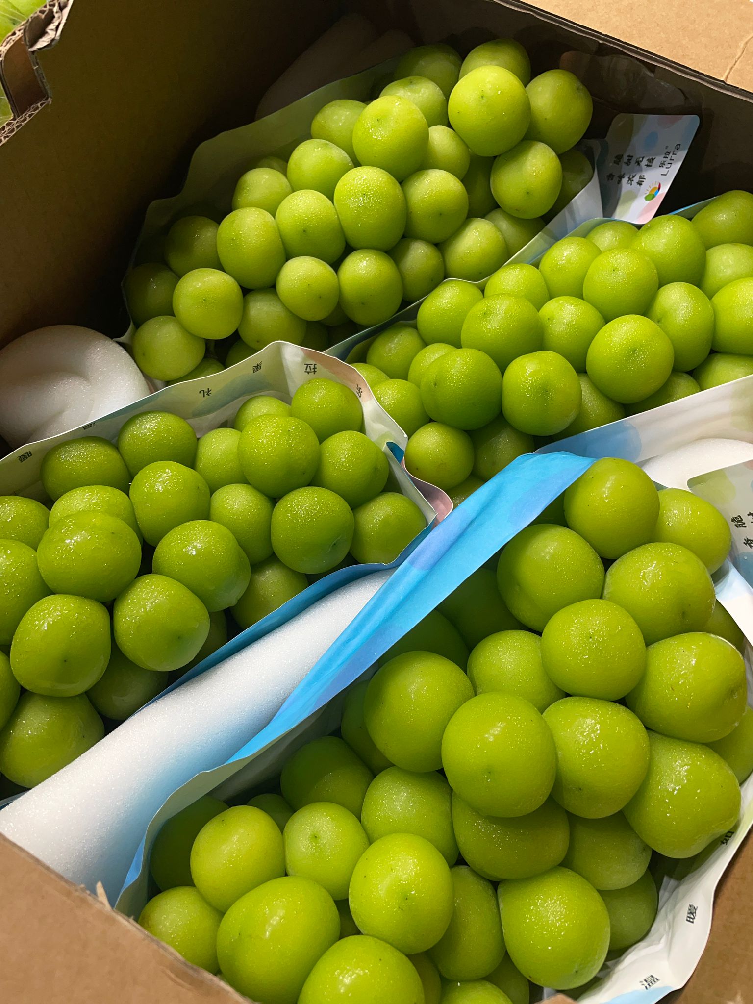 5705a74e ea1c 4269 a80a 9e8457692b6f